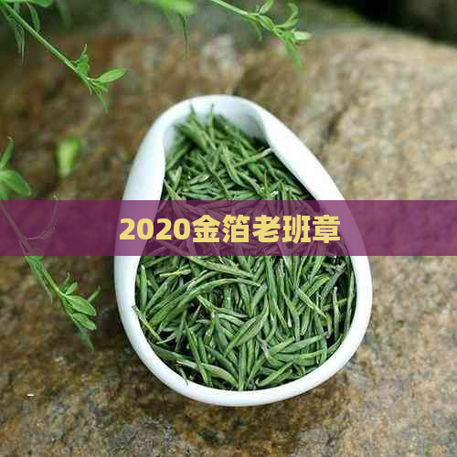 2020金箔老班章