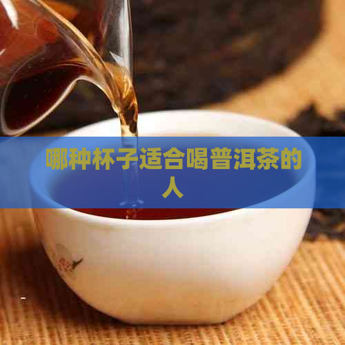 哪种杯子适合喝普洱茶的人