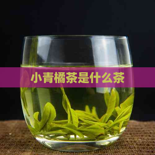 小青橘茶是什么茶