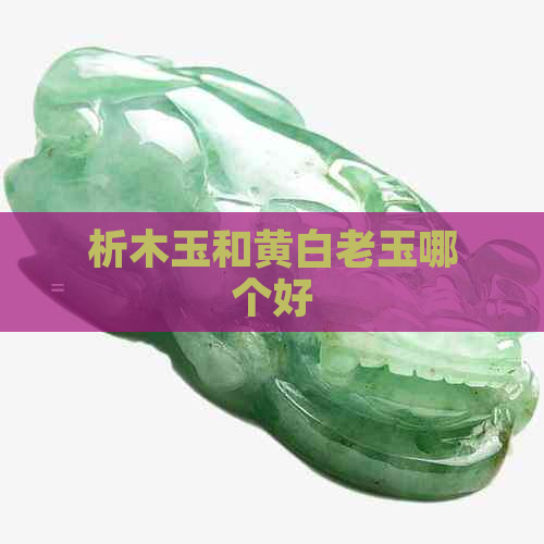 析木玉和黄白老玉哪个好