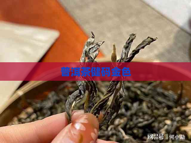 普洱茶健码金色