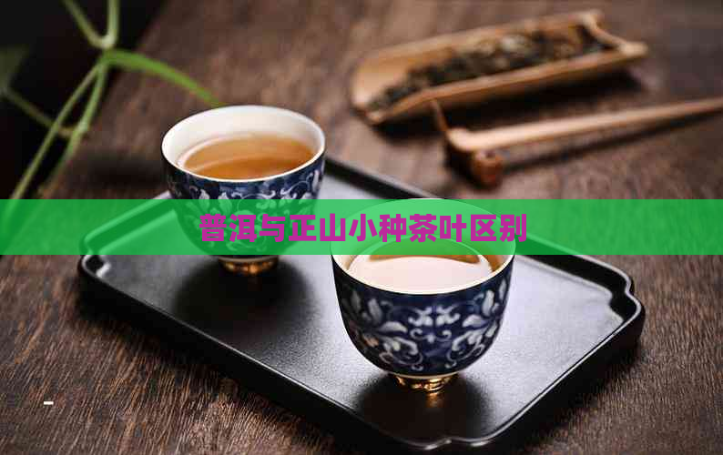 普洱与正山小种茶叶区别