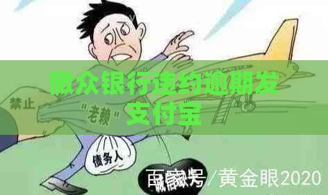 微众银行违约逾期发支付宝