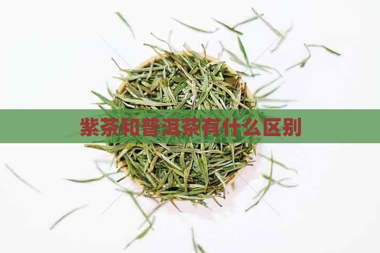 紫茶和普洱茶有什么区别