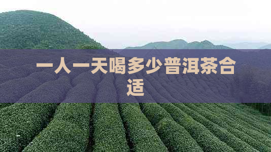 一人一天喝多少普洱茶合适