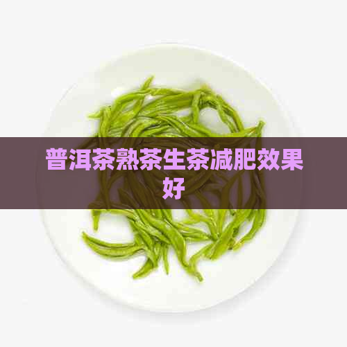 普洱茶熟茶生茶减肥效果好