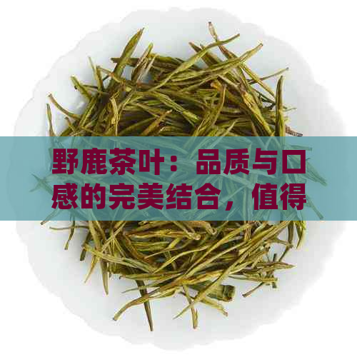 野鹿茶叶：品质与口感的完美结合，值得品尝的秘密