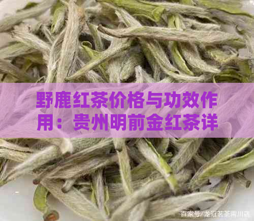 野鹿红茶价格与功效作用：贵州明前金红茶详细解析