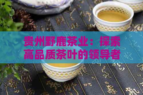 贵州野鹿茶业：探索高品质茶叶的领导者，提供全方位茶叶解决方案