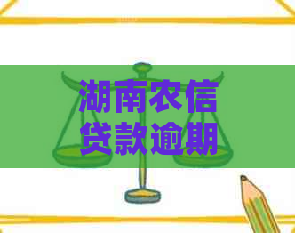 湖南农信贷款逾期怎么办