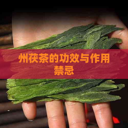 州茯茶的功效与作用禁忌