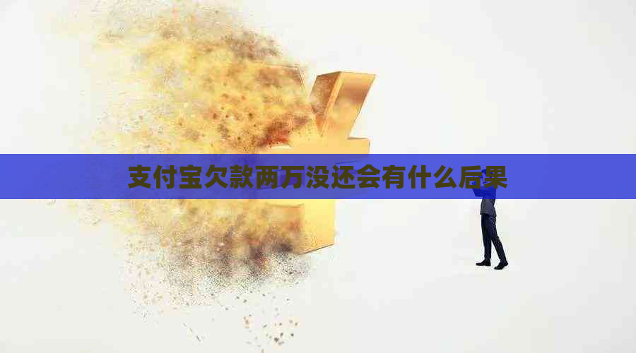 支付宝欠款两万没还会有什么后果