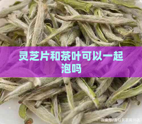 灵芝片和茶叶可以一起泡吗