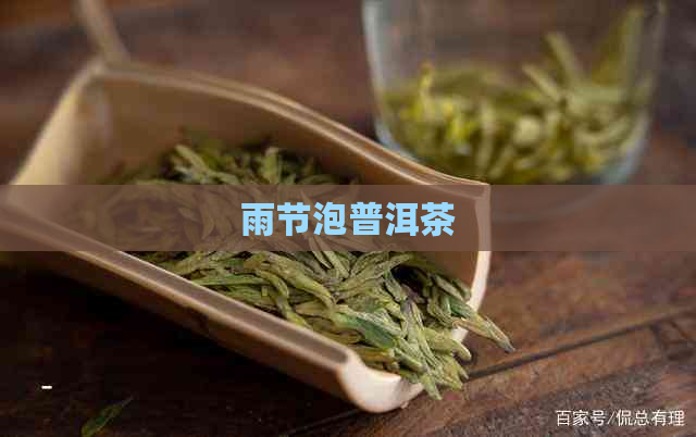 雨节泡普洱茶