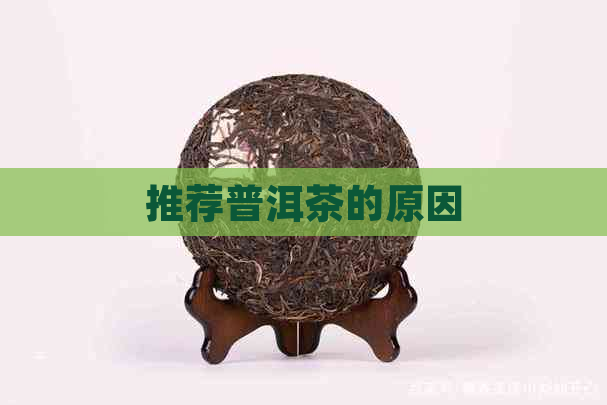 推荐普洱茶的原因