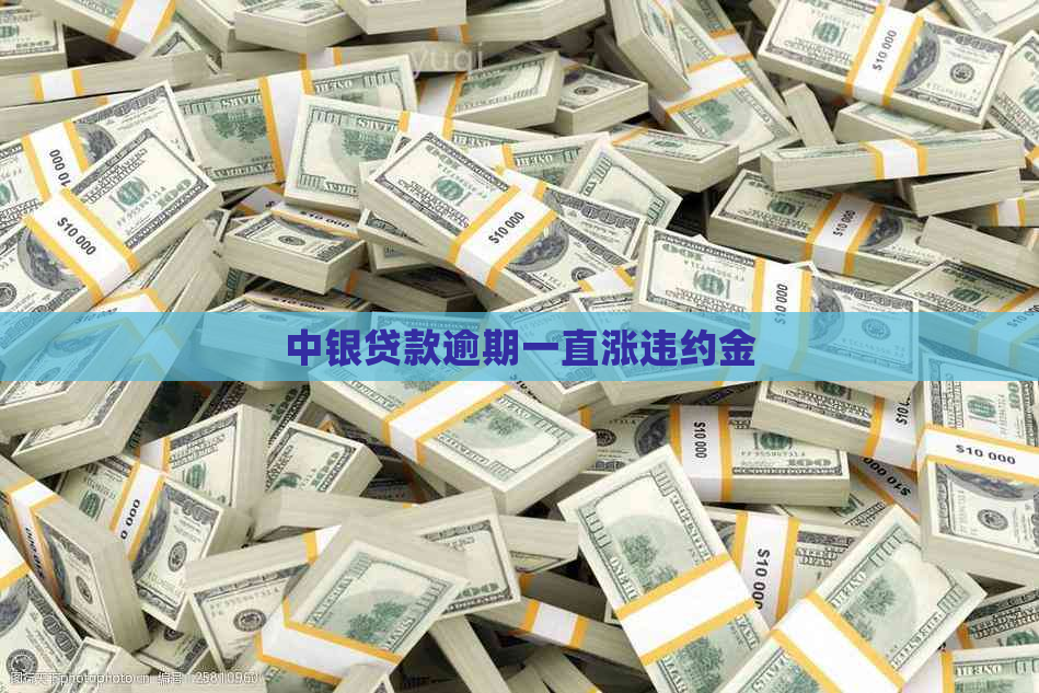 中银贷款逾期一直涨违约金