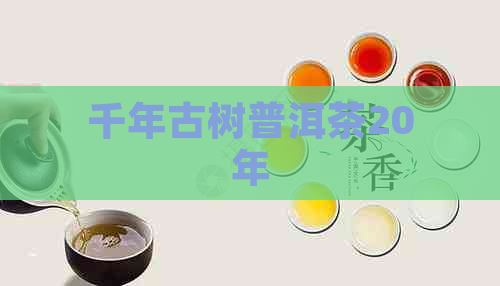 千年古树普洱茶20年