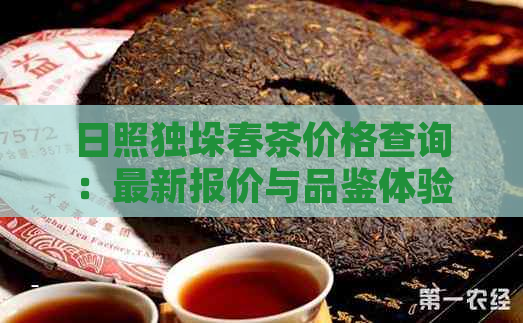 日照独垛春茶价格查询：最新报价与品鉴体验