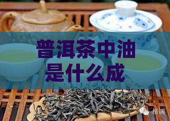 普洱茶中油是什么成分