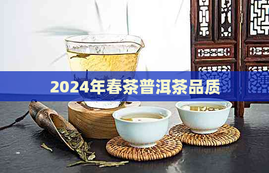 2024年春茶普洱茶品质