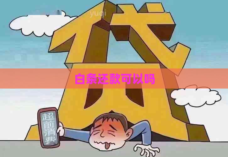 白条还款可以吗