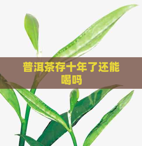 普洱茶存十年了还能喝吗