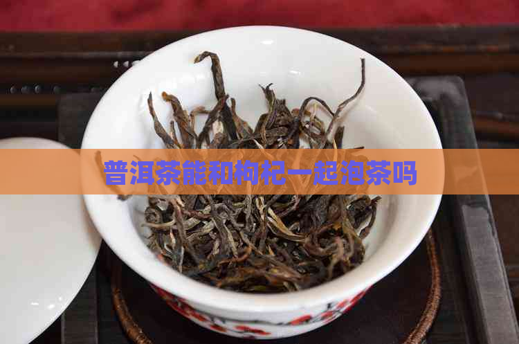 普洱茶能和枸杞一起泡茶吗