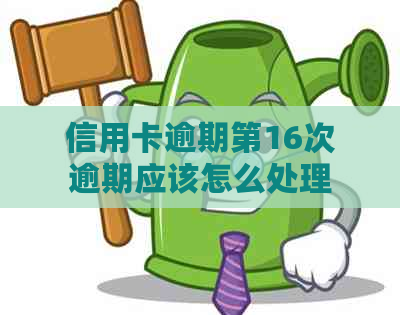 信用卡逾期第16次逾期应该怎么处理