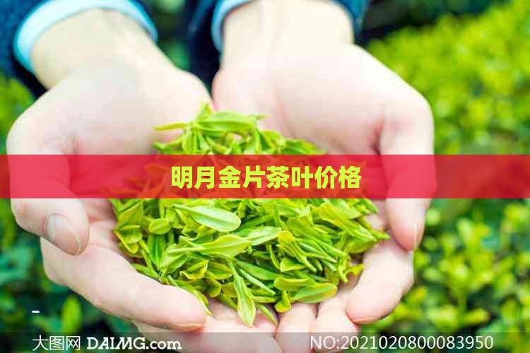 明月金片茶叶价格