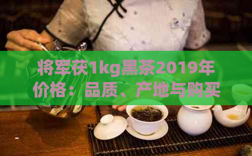 将军茯1kg黑茶2019年价格：品质、产地与购买渠道一应俱全