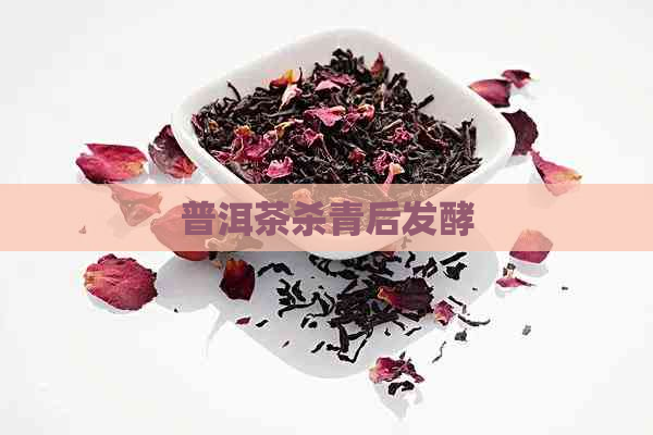 普洱茶杀青后发酵