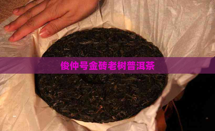 俊仲号金砖老树普洱茶