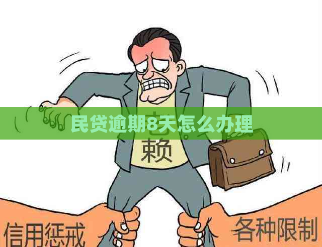 民贷逾期8天怎么办理