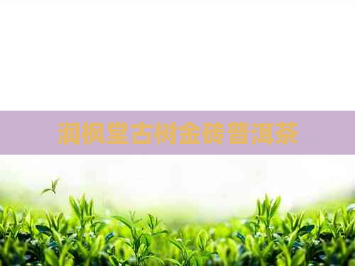 润枫堂古树金砖普洱茶