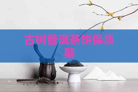 古树普洱茶饼保质期