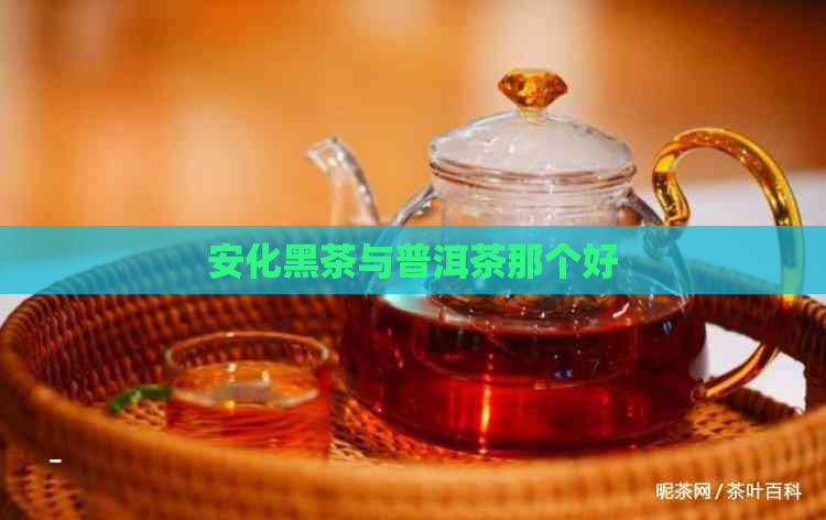 安化黑茶与普洱茶那个好