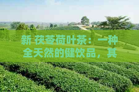 新 茯苓荷叶茶：一种全天然的健饮品，其独特的功效与作用解析