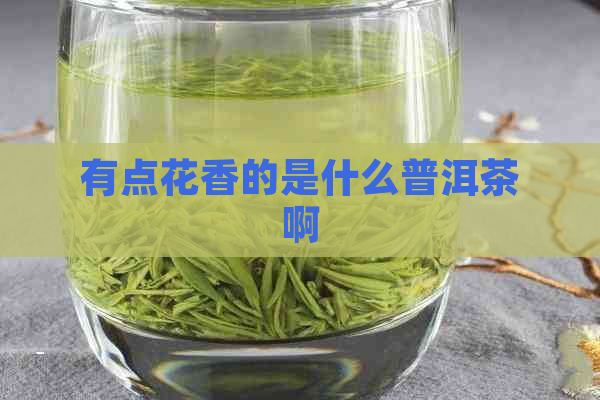 有点花香的是什么普洱茶啊