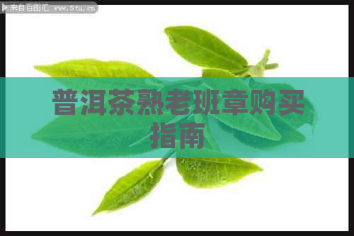 普洱茶熟老班章购买指南