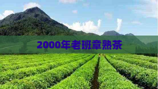 2000年老班章熟茶