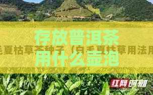 存放普洱茶用什么壶泡