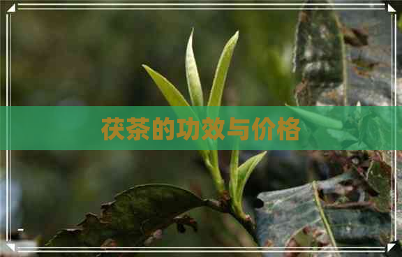 茯茶的功效与价格