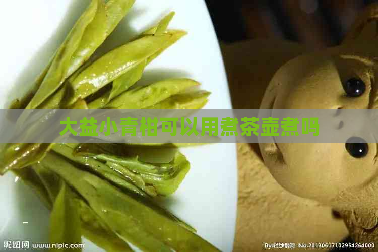 大益小青柑可以用煮茶壶煮吗