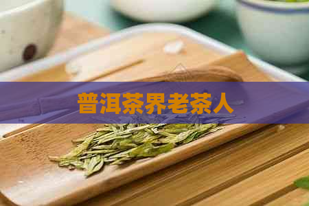 普洱茶界老茶人