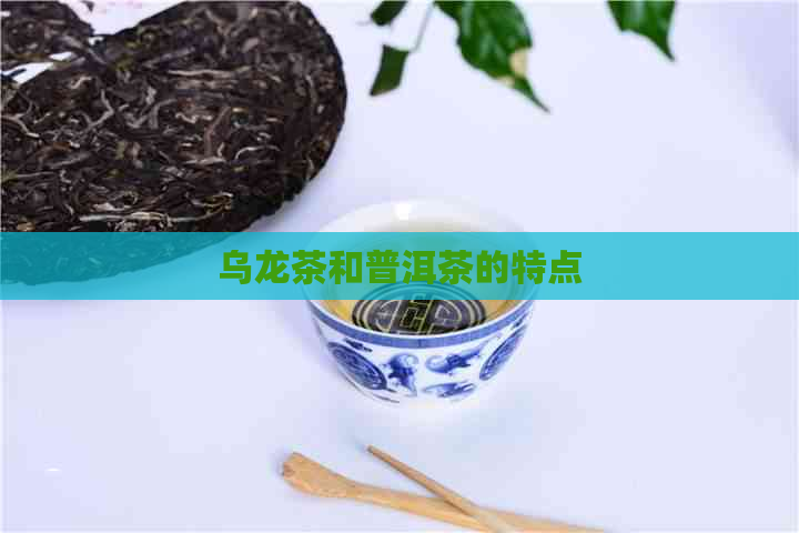 乌龙茶和普洱茶的特点