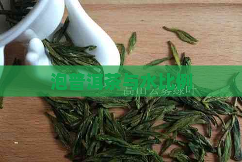 泡普洱茶与水比例