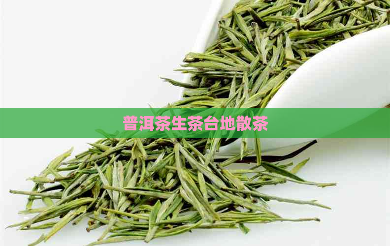 普洱茶生茶台地散茶