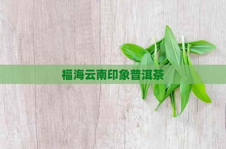 福海云南印象普洱茶