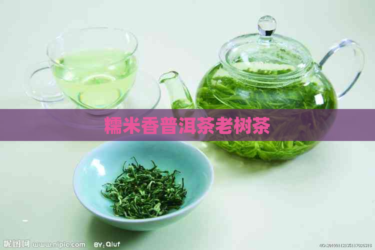 糯米香普洱茶老树茶