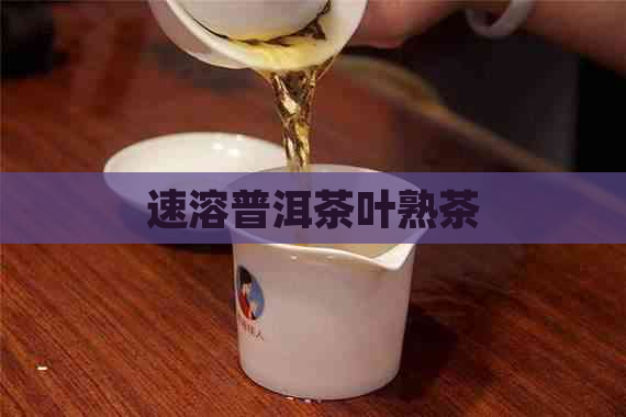 速溶普洱茶叶熟茶